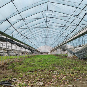 Serre tunnel commerciale à simple portée, économique, en film plastique, pour tomates, fournitures agricoles personnalisées - Product Image 1