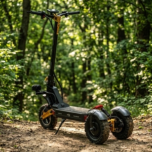 Monopattino Elettrico Pieghevole in Alluminio a Due Ruote per Adulti, Pneumatici da 11 Pollici, 1000W, 150kg, <span class=keywords><strong>60</strong></span> Km/h, Batteria a Lunga Durata, 2107-3, Alta Potenza - Product Image 5