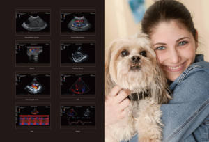 Mindray Vetus E7 Appareil à ultrasons pour animaux Échographie Doppler couleur avec sonde C11-3s et <span class=keywords><strong>C5</strong></span>-1s - Product Image 6