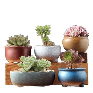 Ceramic Succulent Planter Pots Various Sizes Creative Breathable Coarse Pottery For Home Use Root Control Terracotta Flower Pots - Product Image 5