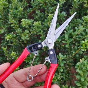 กรรไกรตัดแต่งกิ่งฮิไซจิโระ สแตนเลส ด้ามจับสีแดง สำหรับตัดแต่งต้นไม้ผลไม้ เครื่องมือทำสวนแบบใช้มือ - Product Image 1