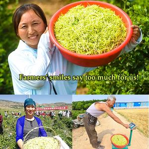 Xanadu folhas de mel soltas, folhas premium de ervas naturais para extrato de óleo - Product Image 2