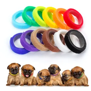 Pacchetto personalizzato cinghia per collare identificativo per cuccioli 100% Nylon gancio e anello per collana con cinturino per cani stampa ID per animali domestici opzione di supporto dolce