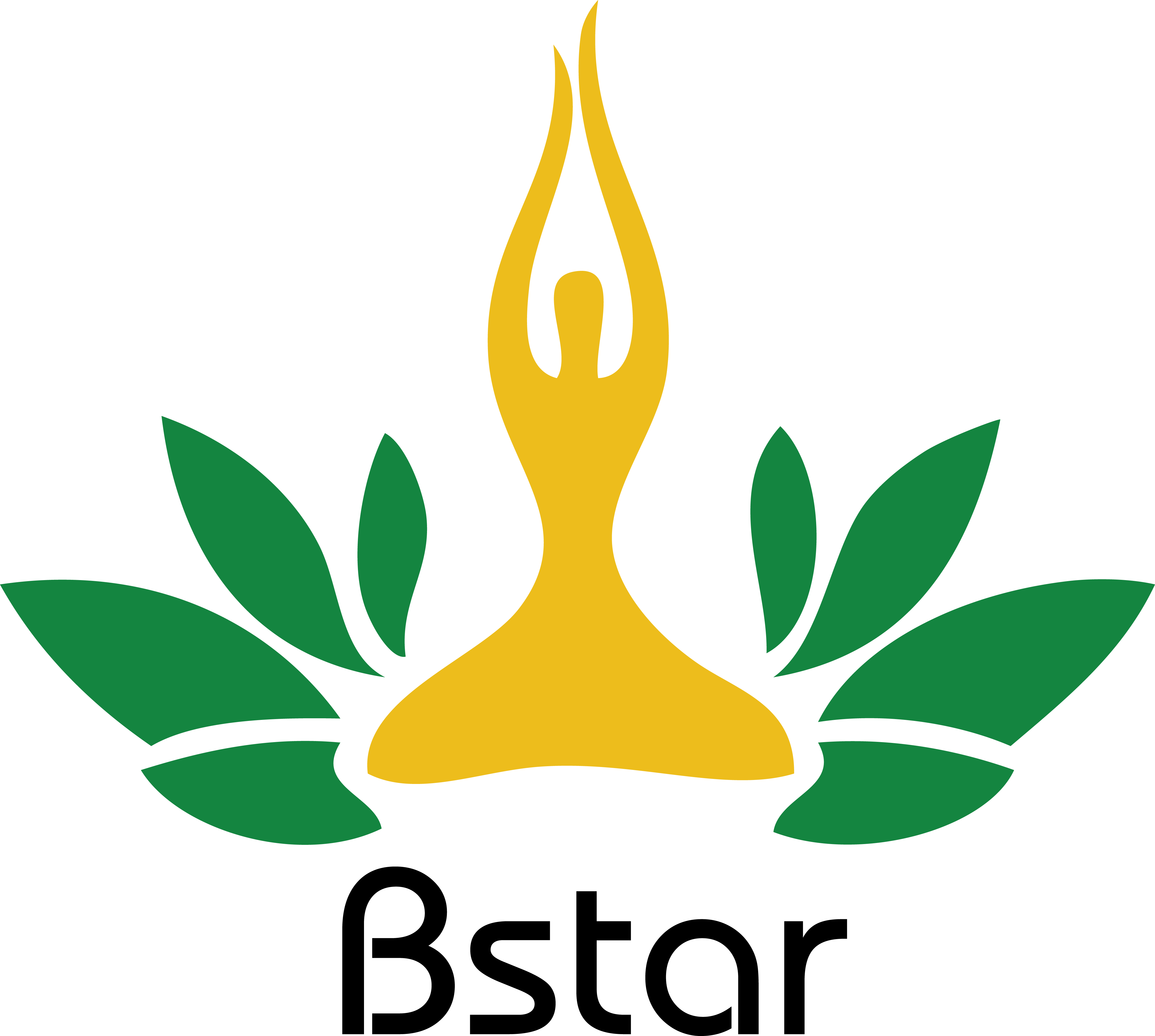 Jinhua Bstar Rubber And Plastic Products Co., Ltd. logo
