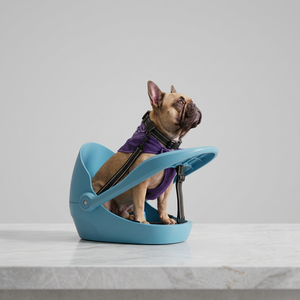 Siège de sécurité universel pour animaux de compagnie sur vélo, coque rigide, <span class=keywords><strong>harnais</strong></span> réglable à 3 points, réfléchissant, résistant aux chocs/au liquide/aux rayures, facile à nettoyer, pour chiens - Product Image 4