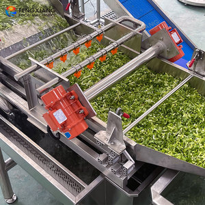 Ligne de traitement de salades pour l'Arabie Saoudite, capacité 3t/h, découpe de légumes à feuilles, lavage et déshydratation à double vortex pour usine de transformation de légumes - Product Image 2