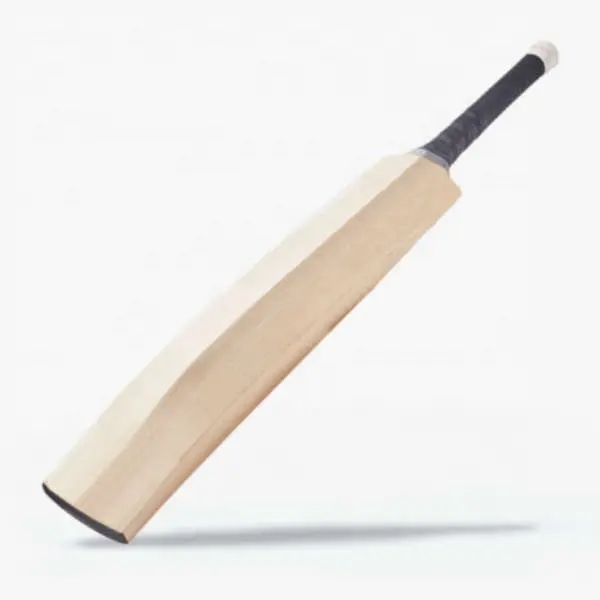 Jogo de teste personalizado com bastão de madeira, bola de couro personalizada com morcego, cricket, profissional, em inglês