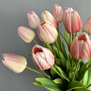 BF-TP03 Hot Selling High Quality PU Real Touch <strong>Tulips</strong> Artificial <strong>Tulip</strong> Bud Flowers for Home <strong>Table</strong> Centerpiece Wedding Decoration - Product Image 5