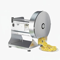 Elektrische automatische vierkante keuken-snijmachine voor fruit en groenten, met verstelbare dikte (0-10 mm), geschikt voor citroenen en aardappelen.