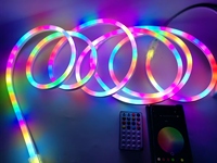 Tira de neón RGB Alto voltaje 110V/220V Control de aplicación/Control remoto/Control DMX programable