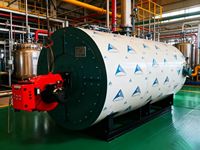 Chaudière à eau chaude horizontale à tubes de fumée série CWNS à pression atmosphérique pour usage industriel, personnalisable, vente en gros à bas prix