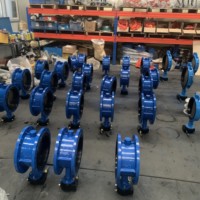 Vanne papillon en fonte ductile PN16/PN10 personnalisable à prix d'usine avec revêtement en caoutchouc EPDM pour applications industrielles de l'eau