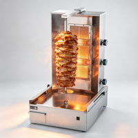 Machine à griller au gaz commerciale pour shawarma et brochettes, machine à faire des kebabs doner, grill du Moyen-Orient pour restaurant