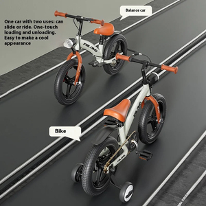 Bicicleta de Equilibrio para Niños Jumon, Dos en Uno, 2-8 Años, Scooter para Niños y Niñas - Product Image 2