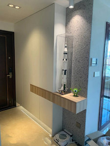 Moderne woonkamer schoenenkast met geïntegreerd veranda-ontwerp, duurzaam, milieuvriendelijk, op maat gemaakt in een Chinese fabriek - Product Image 2