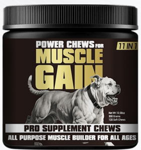 OEM/ODM 11 en 1 Muscle Gain Power Chews Suplemento para perros de alta proteína Aminoácidos Golosinas saludables para cachorros Perros adultos - Product Image 2