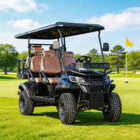Voiturette de golf électrique 72V Lithium 4 places 5kW, options de peinture illimitées, coffre de rangement arrière, homologuée DOT pour le marché américain