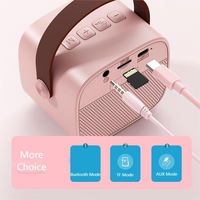 Vente chaude 2024, micro karaoké Bluetooth pour salon, haut-parleur karaoké, 2 micros sans fil, machine karaoké pour enfants, haut-parleur