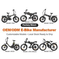 Vélo Électrique à Assistance Électrique 20" Pneus Larges Double Moteur 1000W 48V 35Ah Longue Portée 110km Norme UE 25km/h Cyclomoteur Électrique Usine