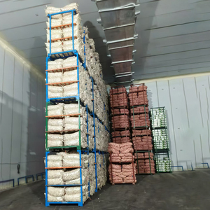 Cabeza <span class=keywords><strong>de</strong></span> <span class=keywords><strong>semilla</strong></span> <span class=keywords><strong>de</strong></span> <span class=keywords><strong>ajo</strong></span> fresco orgánico <span class=keywords><strong>de</strong></span> la mejor calidad, <span class=keywords><strong>ajo</strong></span> rojo blanco puro púrpura, Exportación <span class=keywords><strong>de</strong></span> 10kg 20kg, saco mayorista - Product Image 5