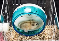 Cage pour animaux en acrylique transparent personnalisée Maison pour hamsters avec bouteille d'eau Cabane Maison pour animaux Terrarium pour gerbilles