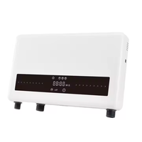 2 g/h générateur d'ozone machine à laver traitement de l'eau ozoniseur pour désinfecter les vêtements