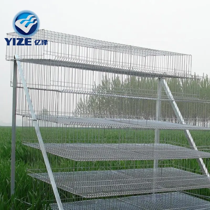 quail farm layer cage of commercial battery cage for quail production