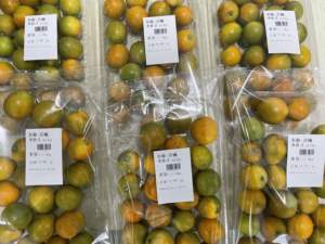 Machine à chaîne pour fruits et légumes, plateau dynamique, à peser, impression d'étiquettes, fin eco, - Product Image 2