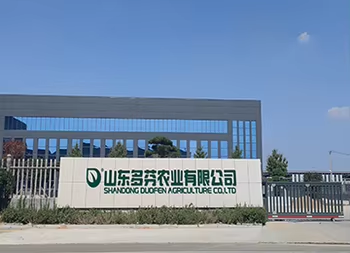 Wholesale Seaweed Boron Molybdenum Liquid Fertilizer 100% Soluble image 5