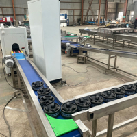 Automatische fruitgewicht-, formaat- en suikersorteermachine met visueel inspectie- en sorteerlijn en suikergehalte-detector voor appels en sinaasappels