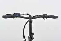 Vélo électrique pliable de 20 pouces pour système d'entraînement par courroie pour adultes Batterie 36V Capteur de couple moteur 250W Capacité de 120kg Léger