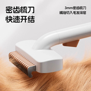 Cat Dog Hair <b>Brush</b> Set <b>Smoothing</b> Detangling Comb For Bichon Frise Teddy Pets Grooming Tool - Product Image 3