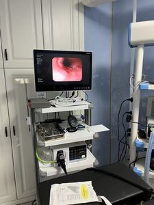 Endoscopio Flexible para animales, sistema de endoscopio de vídeo electrónico para mascotas, estación de trabajo, gastroscopia, <span class=keywords><strong>enteroscopia</strong></span> con carro - Product Image 3