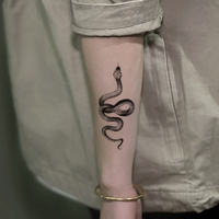 Tatouages temporaires autocollants pour bras, motif serpent vintage cool, demi-bras, imperméables et résistants à l'eau, pour bras, jambe, côté, taille