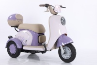 Scooter électrique à trois roues pour adultes et personnes âgées, tricycle ouvert pour 2 passagers, design luxueux, batterie au plomb-acide