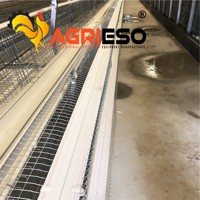 Équipement d'alimentation avicole commercial : Système d'alimentation pour poules pondeuses, ligne d'alimentation à chaîne et à plateaux pour élevages en cage libre