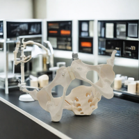 DARHMMY modelo de pelvis femenina de tamaño natural modelo anatómico de esqueleto humano para ciencia médica