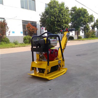 Meilleure vente de compacteur à plaque d'asphalte de compactage à pied avec vente à essence