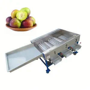 Tomato Fruits Grader Sorter Machine Cherry Tomato Size Selecting Classifying Machine Round Fruits Size Calibtation Machine