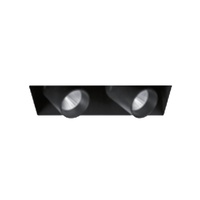 Projecteur led interchangeable de garniture, double tête, option sans cadre