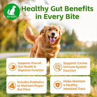 Soins de santé pour animaux de compagnie, santé digestive, vitamines à absorption rapide, probiotiques sûrs en poudre, oméga-369, vitamine B12, sans céréales, 1 g/unité pour tous