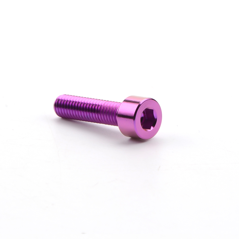 violet (1 pièce)