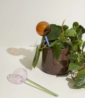 Dispositif d'arrosage personnalisé, dispositif d'arrosage des plantes, dispositif d'arrosage automatique par goutte-à-goutte, irrigation des fleurs et des plantes