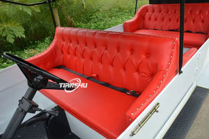 <span class=keywords><strong>TS</strong></span> Eye Catching Bus et voiture de tourisme électrique 5000W - Product Image 4