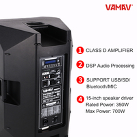VAMAV Enceintes MERCURYDSP 1501 Full Range 350W RMS Effets DSP Classe D 15 pouces Prise en charge USB/SD/BT et Micro Scène Professionnelle