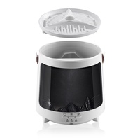 Diffuseur d'arômes intelligent en forme de méduse avec télécommande, humidificateur à flamme d'aurore, vaporisateur d'huiles essentielles pour la décoration de chambre et de bureau