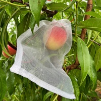 Agrarische gebreide nylon plastic insectengaas zak voor fruit & groente bescherming, anti-vogel, anti-wateroverstroming, tuinnet
