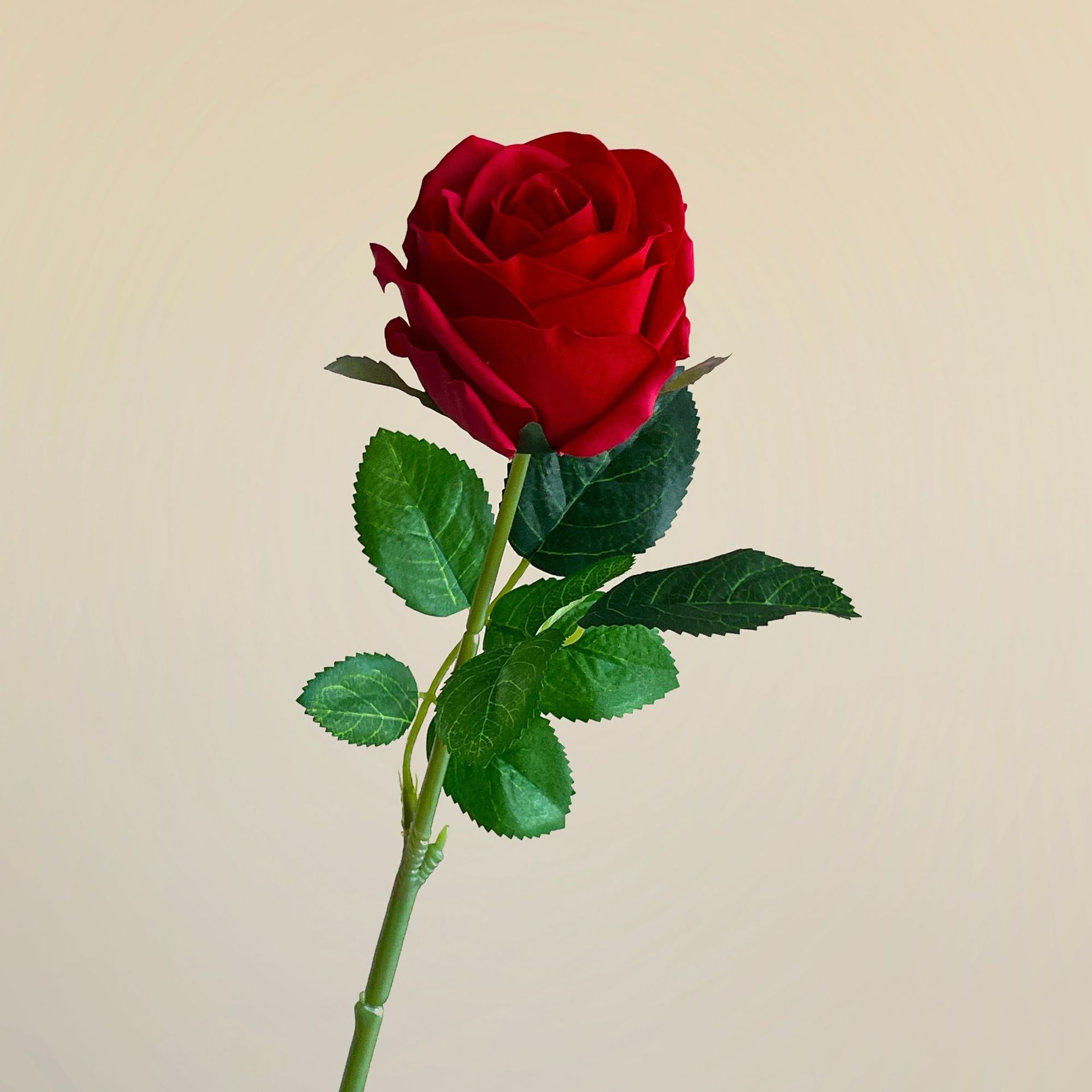 Rouge02