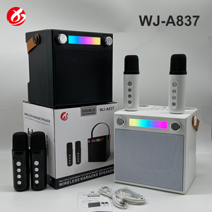 Mini Altoparlante Portatile con Microfono, Speaker Karaoke, Amplificatore Stereo 3D, Super Bass, Lettore Musicale per Sport all'Aperto - Product Image 4