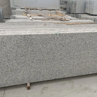 Vente en gros de carreaux de seuil en granit gris poli Marches et contremarches pour escaliers et escaliers Panneau mural extérieur en pierre naturelle